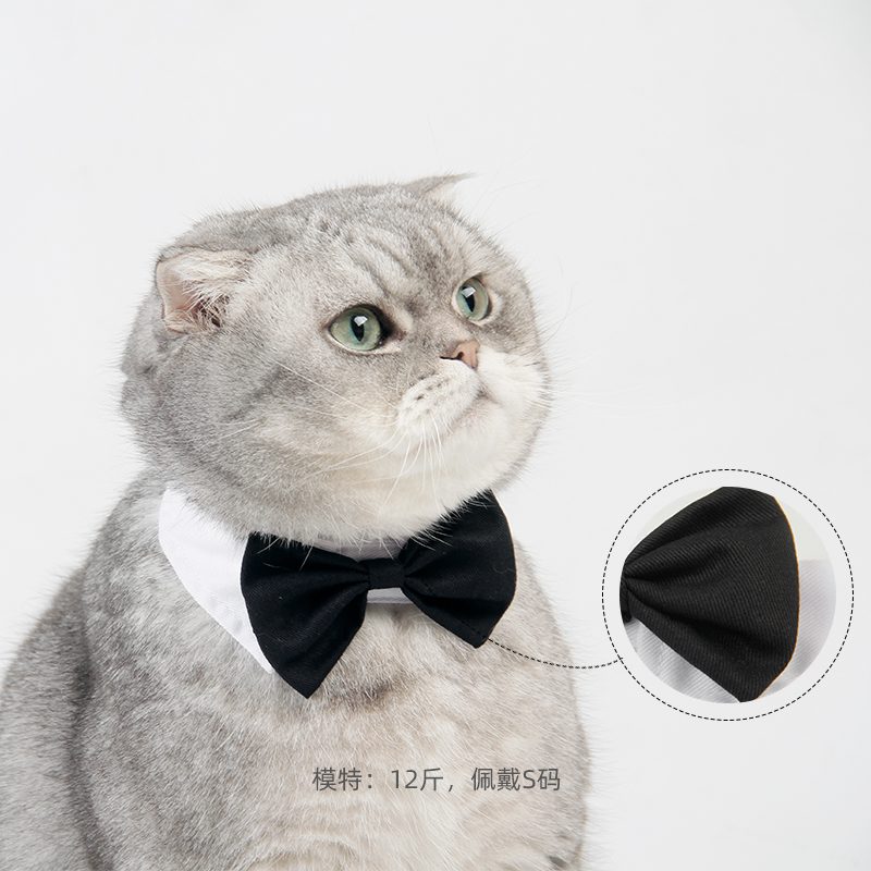 Cat and dog bow ties - White