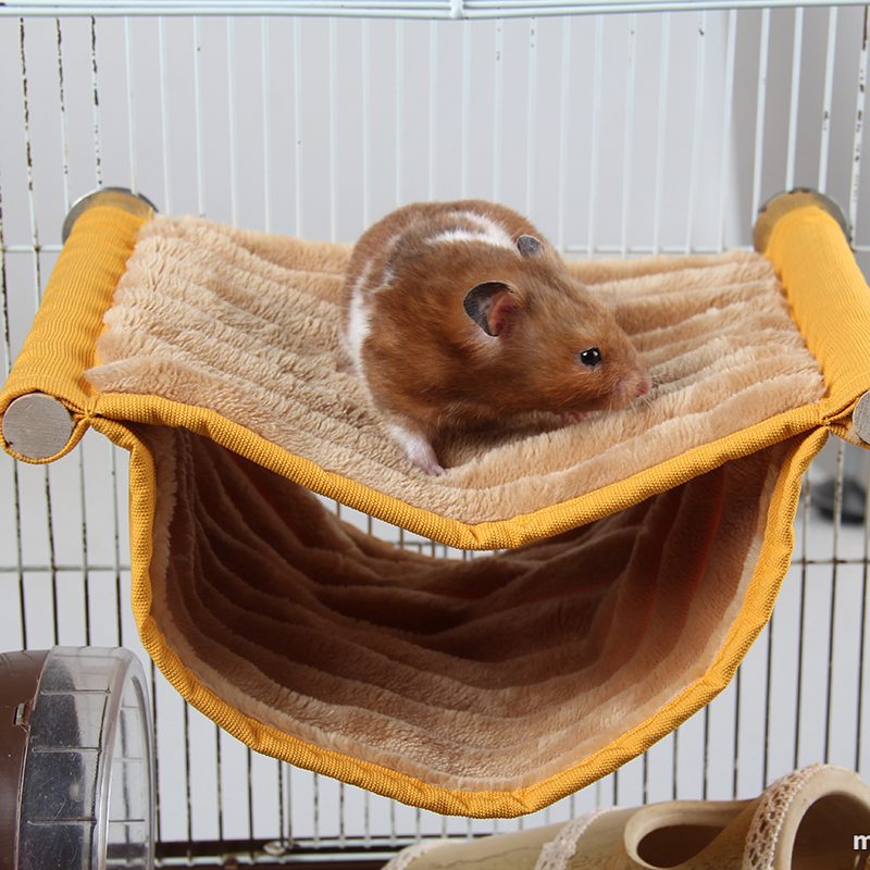 Little Pet Hammock 3