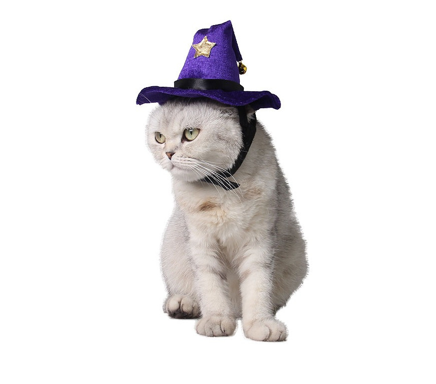 MYIDEA® Halloween Purple Cat Party Hat -CHOU51 – MYIDEA® PET – Care for ...